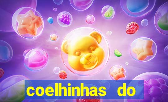 coelhinhas do brasil recife